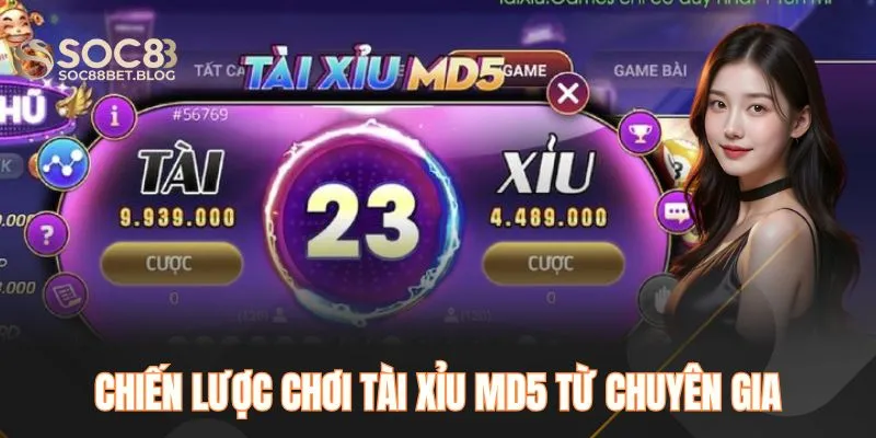 Chiến lược chơi tài xỉu MD5 từ chuyên gia