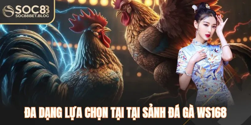 Đa dạng lựa chọn tại tại sảnh đá gà WS168