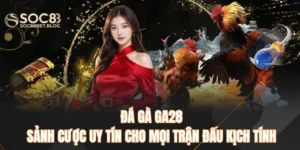 Đá Gà GA28 – Sảnh Cược Uy Tín Cho Mọi Trận Đấu Kịch Tính