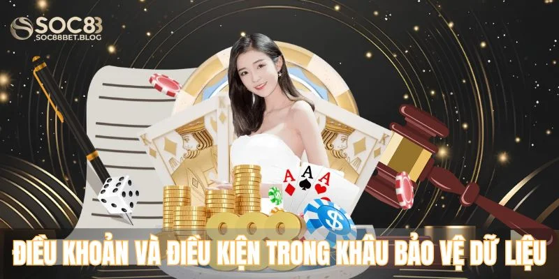 Điều khoản và điều kiện trong khâu bảo vệ dữ liệu