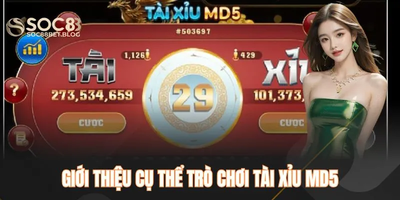 Giới thiệu cụ thể trò chơi tài xỉu MD5