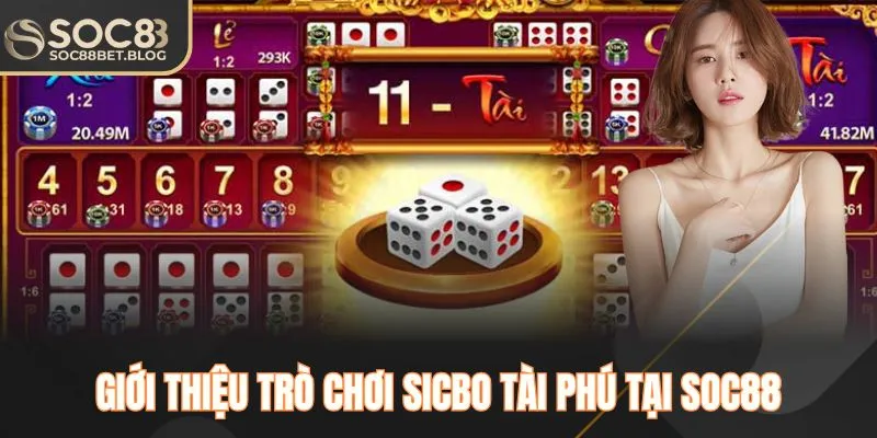 Giới thiệu trò chơi sicbo tài phú tại SOC88