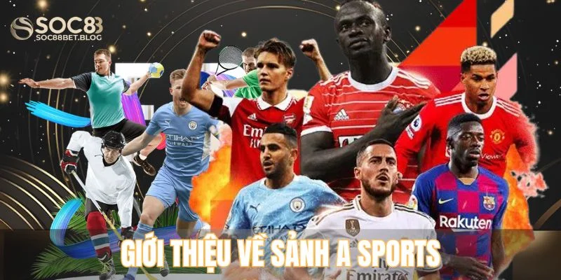 Giới thiệu về sảnh A Sports