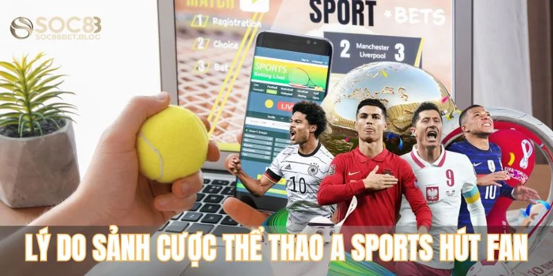 Lý do sảnh cược thể thao A Sports hút fan