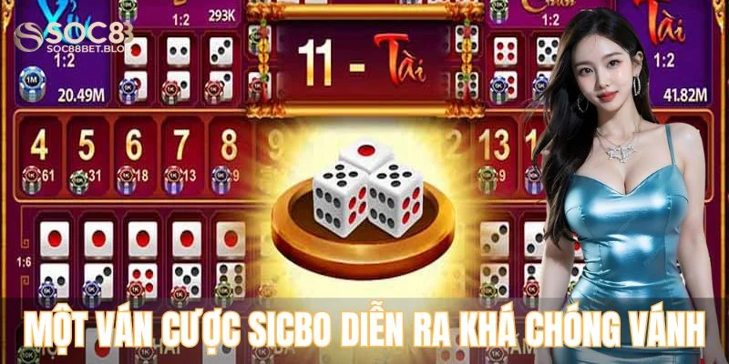 Một ván cược sicbo diễn ra khá chóng vánh