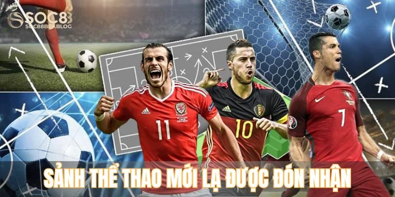 Sảnh thể thao mới lạ được đón nhận tại Soc88