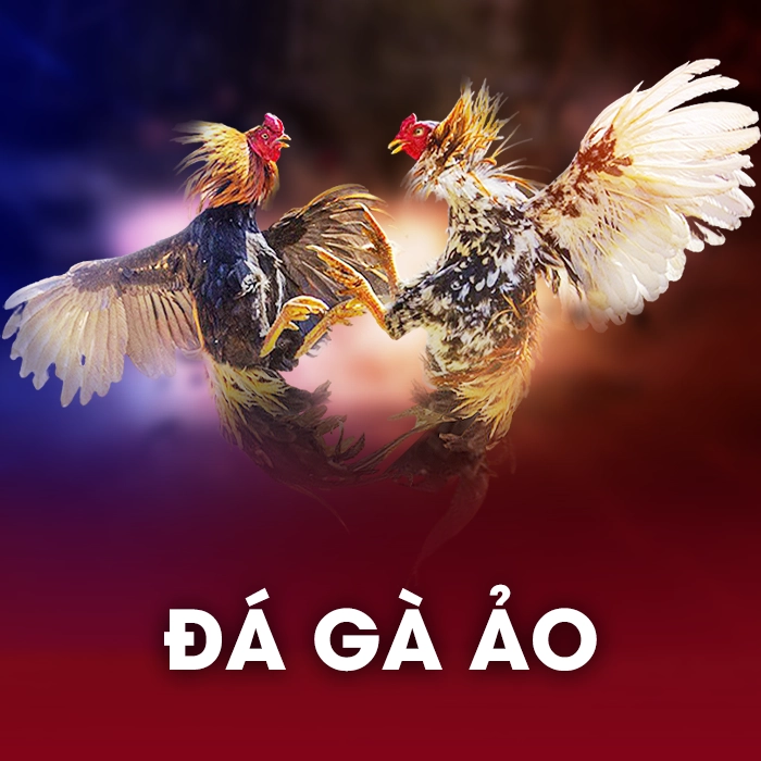 soc88bet đá gà ảo techplay