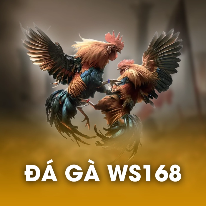 soc88bet đá gà ws168