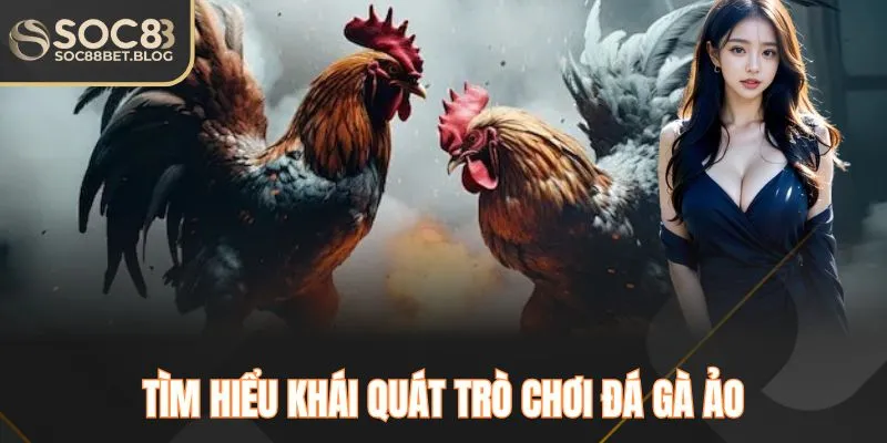 Tìm hiểu khái quát trò chơi đá gà ảo