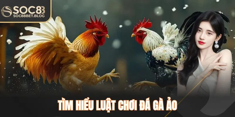 Tìm hiểu luật chơi đá gà ảo 